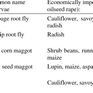 Species of Anthomyiidae (Diptera: Brachycera) with larvae that are... | Download Table