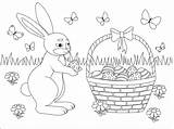 Mandala Rabbit Coloring Page  Free Printable Pages sketch template