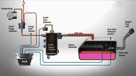 Evaporative Emission Control System – What You Should Know?