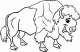 Bison coloring Pages To Download And Print For Free sketch template