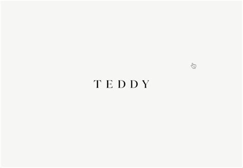 Teddy Baldassarre Brand Identity & Ecommerce Web Design on Behance