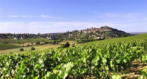 Wine and gastronomy: a Sancerre way of life | The greatest destinations in the vineyards of ...