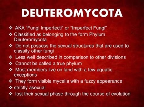 Deuteromycota