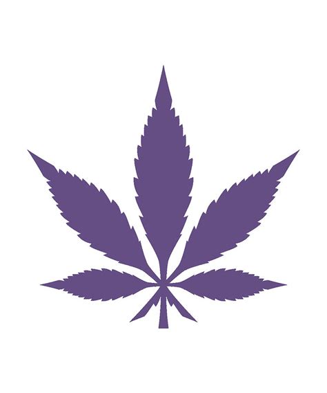 Purple Weed Leaves