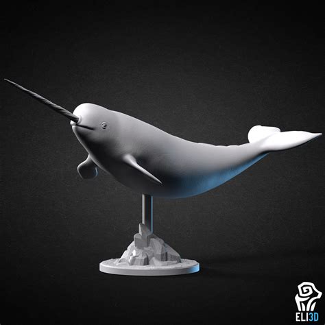 3D file Narwhal - Animal 🐳・3D print model to download・Cults