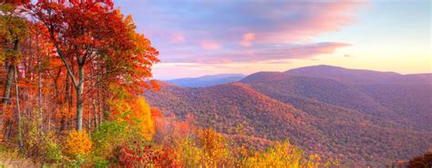 Smoky Mountains Fall Foliage