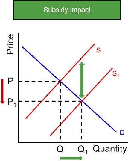 Subsidy Graph Producer Surplus