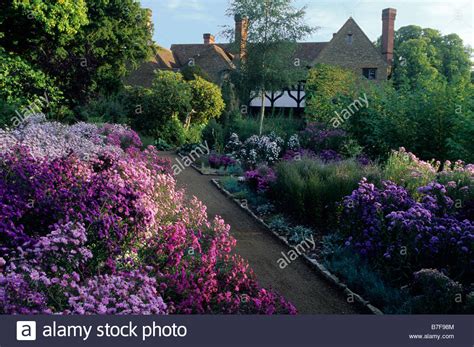 Munstead Wood Surrey The Aster garden with view of house Stock Photo ...