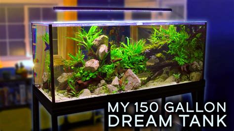 150 Gallon Fish Tank In Feet - Wese Aquarium Fish