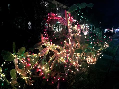 Holiday Lights in The Heights, Houston, TX Photograph by Rose Mulroney ...