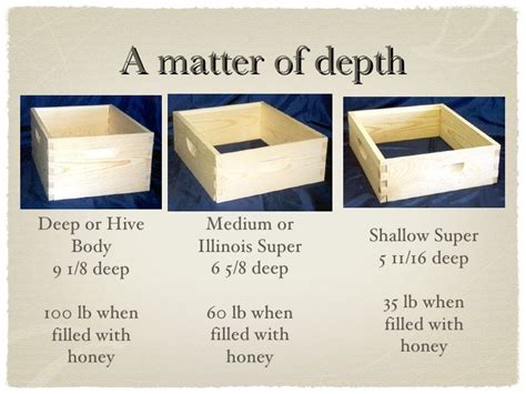 Typical Bee Hive Configuration