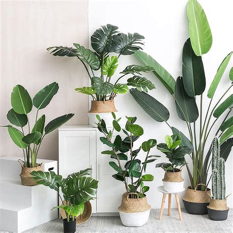 Deco and Lemon: Ventajas de decorar con plantas artificiales súper realistas - Arquitectonia