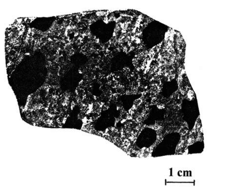 Photomicrograph of Pig-Aug clinopyroxenites with relict dunite cumulus... | Download Scientific ...