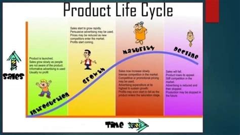 Product life cycle stages - Tuko.co.ke