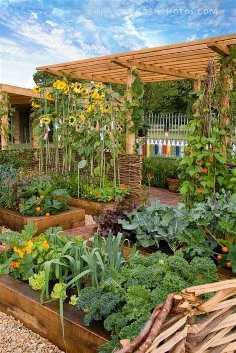 Affordable backyard vegetable garden designs ideas 23 - ROUNDECOR ...