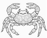 Crabs coloring Pages sketch template