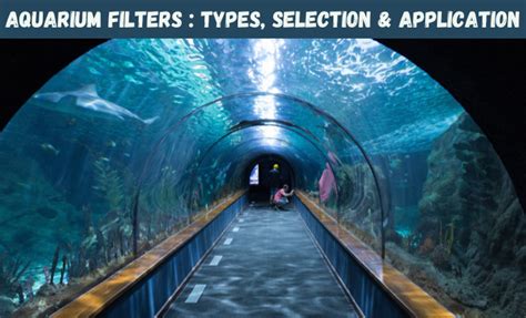 Aquarium Filters : Types, Selection & Application