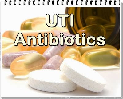 4 Common And Top Antibiotics For UTI - Urinary Tract Infection Treatment and Prevention ...