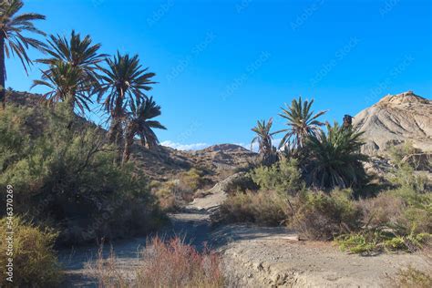 Famous film set in Tabernas desert in Spain, Europe Stock Photo | Adobe ...