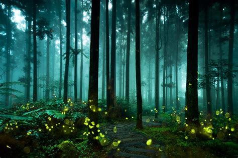 Sci-fi sights: 16 incredible places that glow in the dark ...