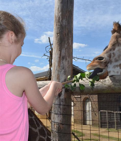 London Zoo Experiences | London Zoo