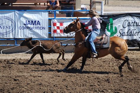 Rodeo Moms Club: Breakaway Roping - Picture of the Week