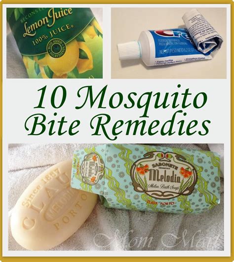 Mom Mart: 10 Mosquito Bite Itch Relief Tips & Tricks