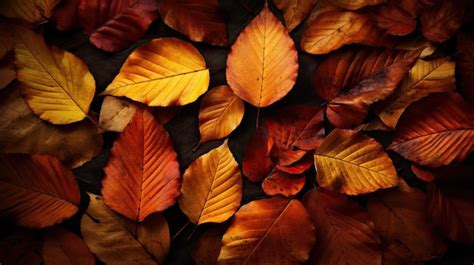 Premium Photo | Autumn leaves wallpaper with orange and brown colors ...