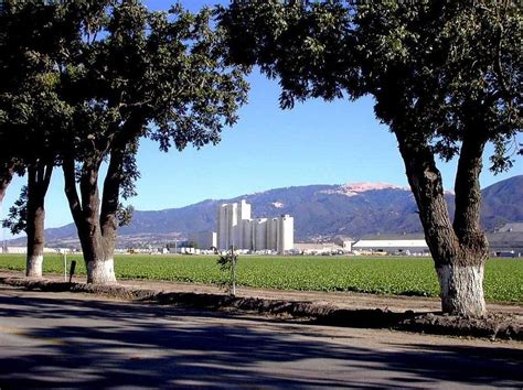 Silos at Spreckels Sugar Factory, Spreckels, CA. Spent many happy childhood days looking out at ...