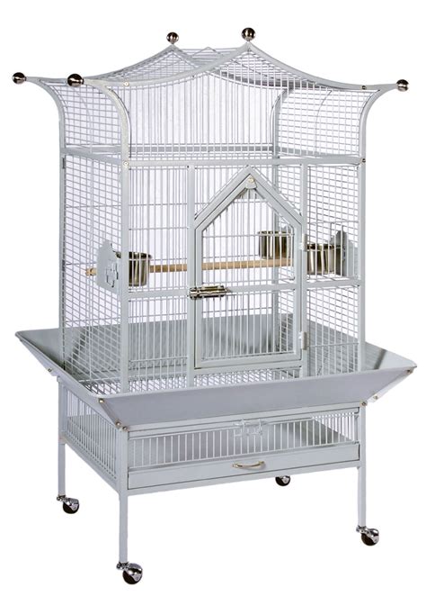 Medium Bird Cages - Presented by BirdsComfort.com