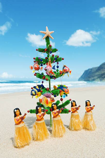 Christmas In Hawaii Stock Photos, Pictures & Royalty-Free Images - iStock