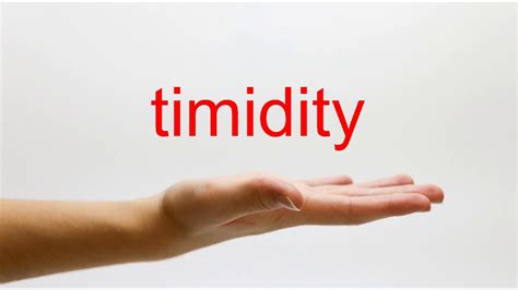 How to Pronounce timidity - American English - YouTube