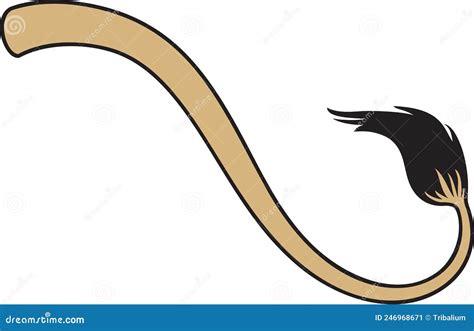 Lion tail color vector stock illustration. Illustration of male - 246968671