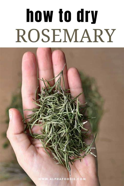 How To Dry Rosemary and Store It (3 Methods) - Alphafoodie