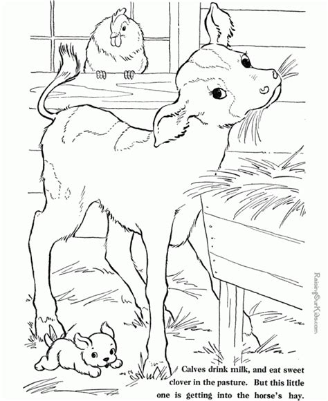 Get This Preschool Farm Animal Coloring Pages to Print nob6i