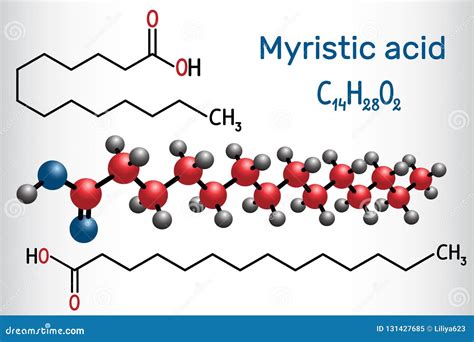 Myristic Tetradecanoic Acid Molecule. it is Saturated Fatty Acid. Structural Chemical Formula ...