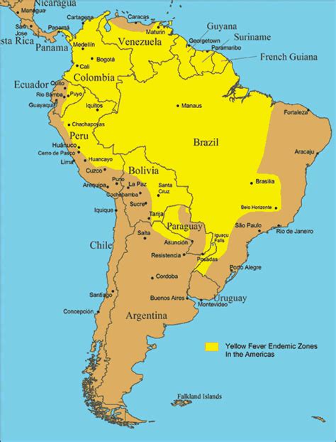 Yellow Fever Map South America – Get Latest Map Update