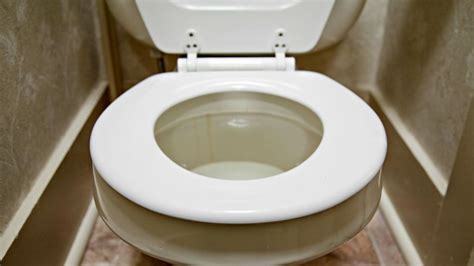 Can Baking Soda and Vinegar Unclog a Toilet? | Clogged toilet, Mold in bathroom, How to unclog ...