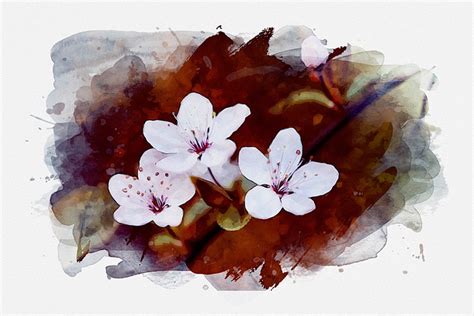 Download Plum Blossom, Plum Flowers, Painting. Royalty-Free Stock ...