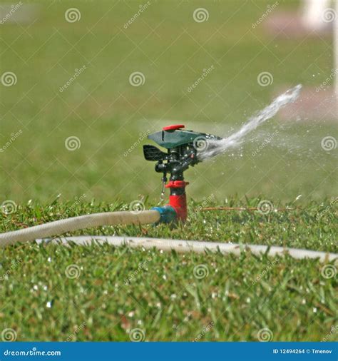 Sprinkler watering stock photo. Image of agriculture - 12494264