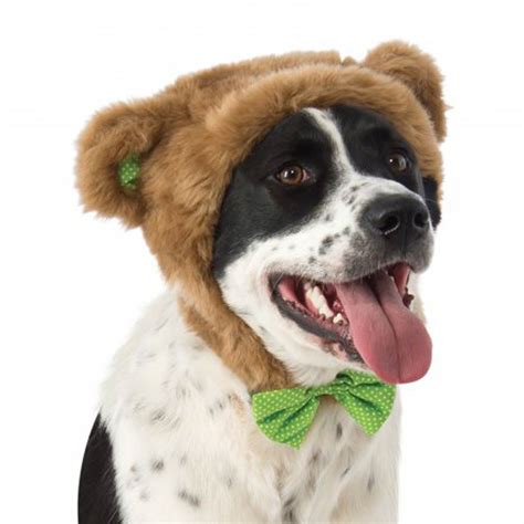 Teddy Bear Hat Dog Costume | BaxterBoo