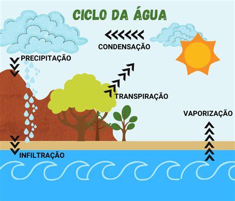 7. Como funciona o ciclo curto da água?