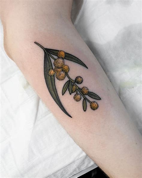 Wattle tattoo by @sophiabaughan - Tattoogrid.net