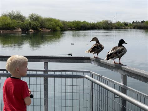 Riparian Preserve in Gilbert - Phoenix With Kids