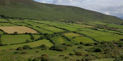 rolling green hills of ireland baldwin of canterbury - Crossroads Initiative