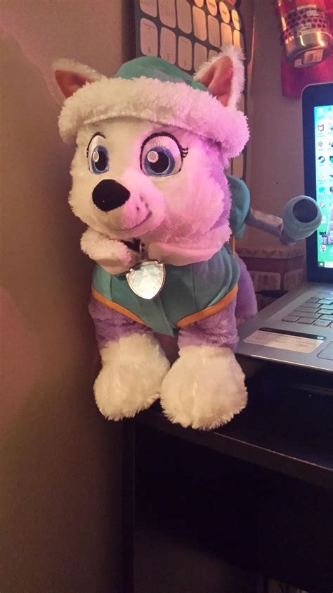 BAB PAW Patrol Everest plush by Nateumstead on DeviantArt