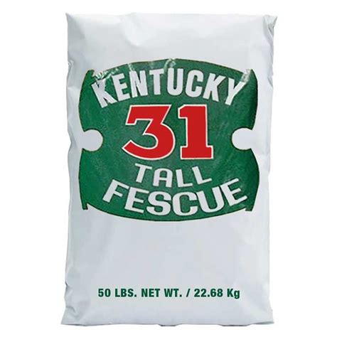 Kentucky 31 | 95% Purity | Lewis Seed Company