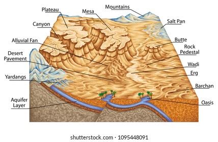 Types Continental Landform Desert Landforms Plateau Stock Illustration ...