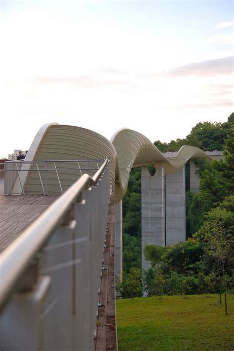 Henderson Waves Bridge, Singapore