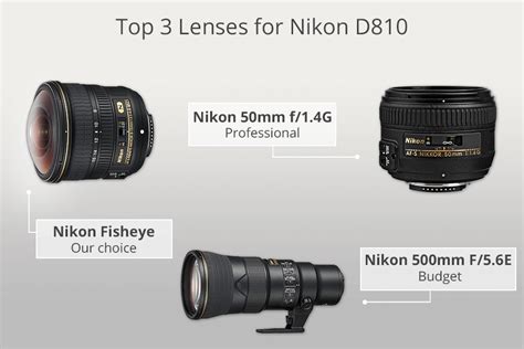 10 Best Lenses for Nikon D810 in 2024